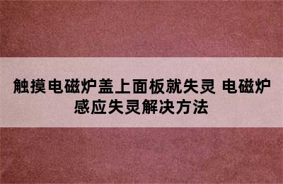 触摸电磁炉盖上面板就失灵 电磁炉感应失灵解决方法